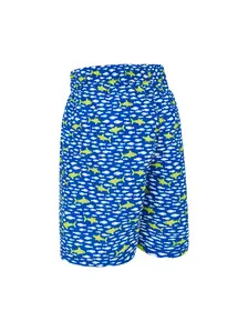 Display front view 2 of Product detail - Boys Big Fish 15 Inch Water Shorts BIFI