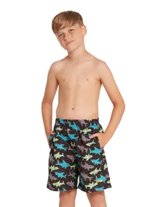 Display front view 1 of Product detail - Boys Shark Silver Print 15 Inch Water Shorts SKSH