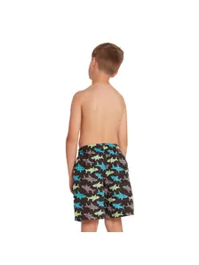 Display front view 2 of Product detail - Boys Shark Silver Print 15 Inch Water Shorts SKSH