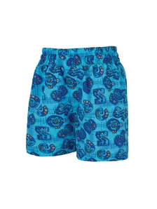 Display front view 1 of Product detail - Boys Fontopia Watershorts FONT
